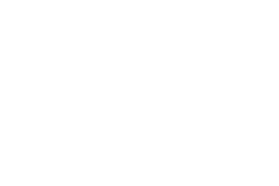 Ronda Minerva Hotel Logo